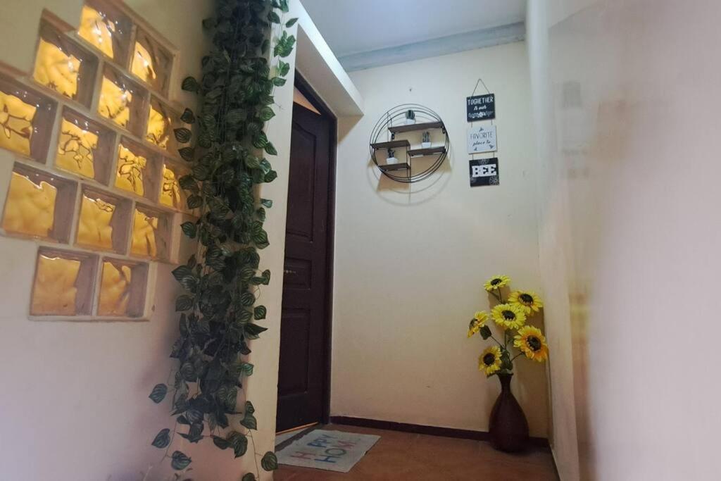 Mendes Family Homestay - B&B In The Heart Of Praia Bagian luar foto