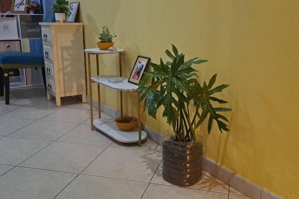 Mendes Family Homestay - B&B In The Heart Of Praia Bagian luar foto